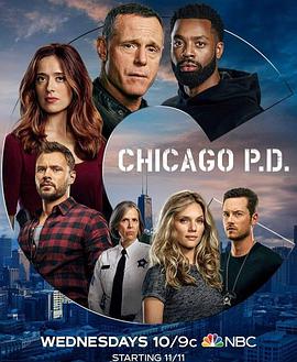 芝加哥警署第八季 第4集